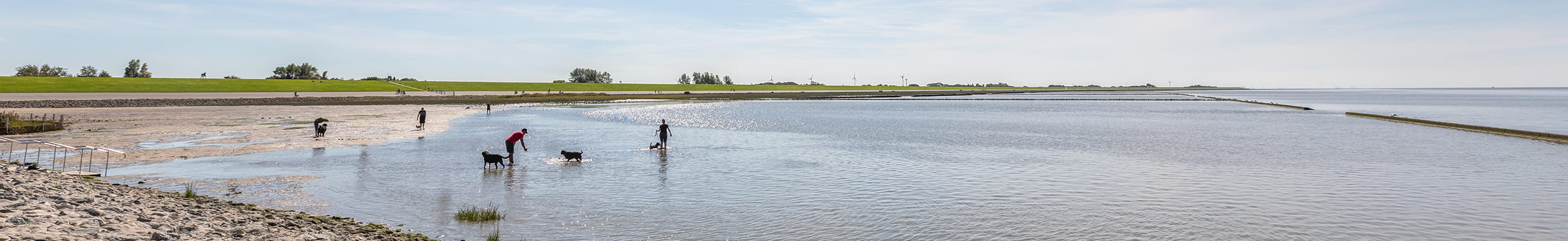 Urlaub mit Hund an der Nordsee